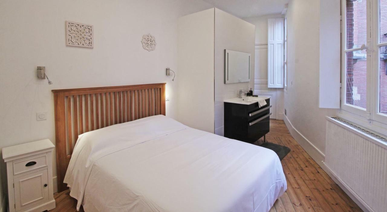 Toulouse - Alsace Lorraine - Languedoc-Place Du Salin-Museum Histoire Naturelle- Jardin Des Plantes-Musee Augustins- Palais De Justice Station Metro Carmes Ligne B Eksteriør bilde